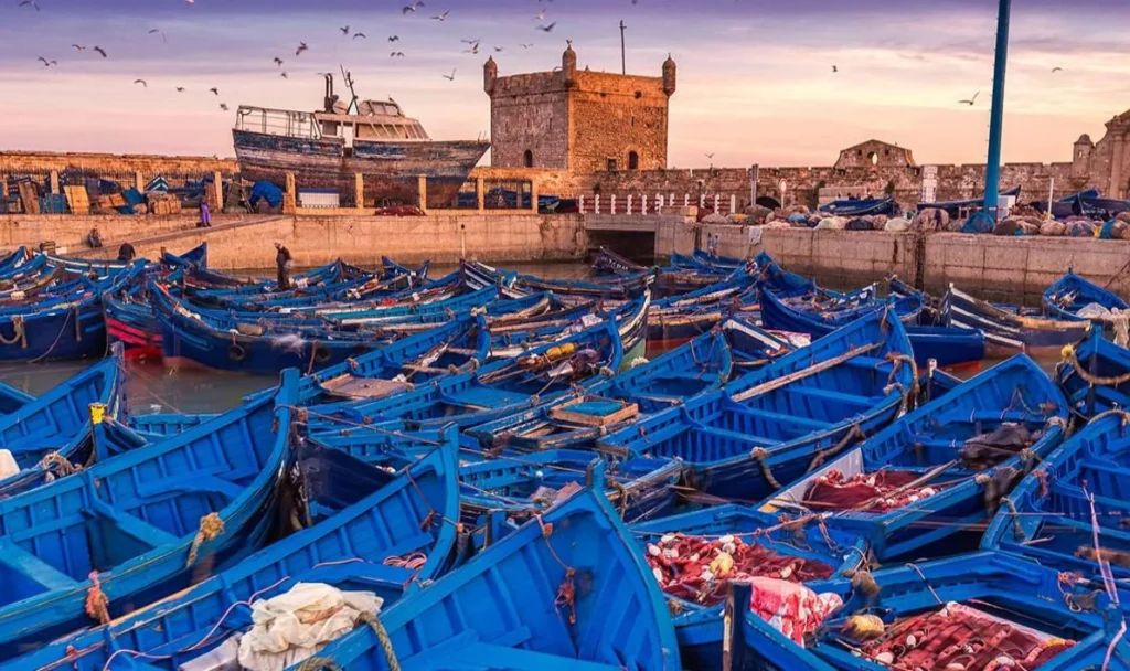 Morocco Travel Experts - Desert Tours in Morocco 32 f39974048dfd9df123442a2f38f0c3c0 Morocco Travel Experts