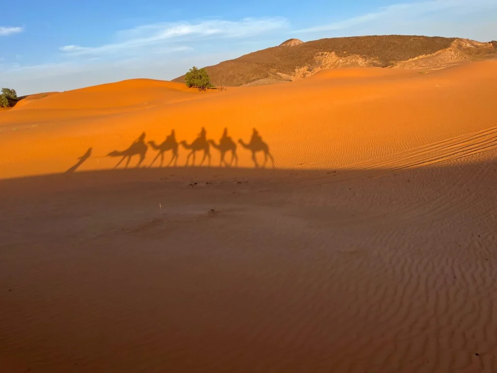 IMG 2772 Copy Morocco Travel Experts