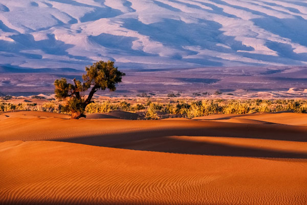 6-Day Family Erg Chegaga Desert Tour from Agadir