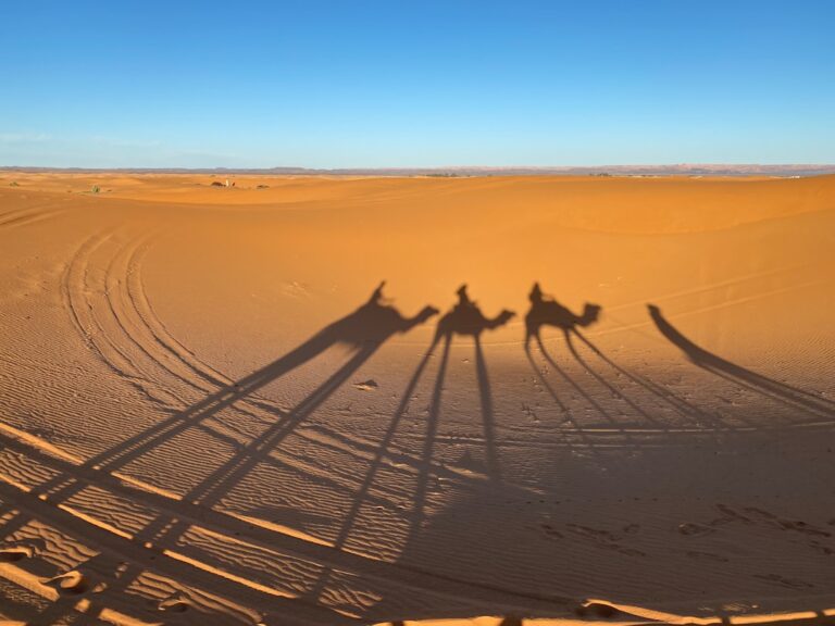 Morocco Family Tours: Unforgettable Adventures for All