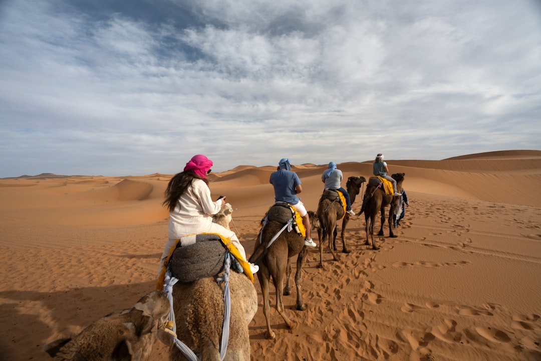 All Morocco Family Tours