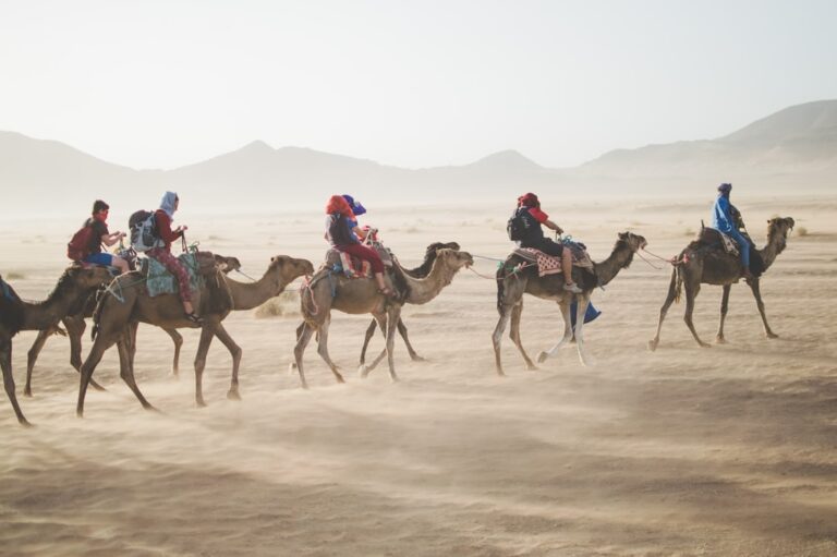 Top 5 Best Travel Agency in Morocco for Families Guide