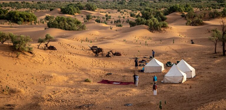 7 Best Luxury Sahara Camp with Family Suites: Expert Guide