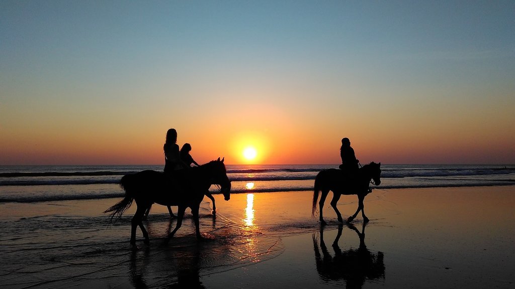 Essaouira Beach Horse Ride